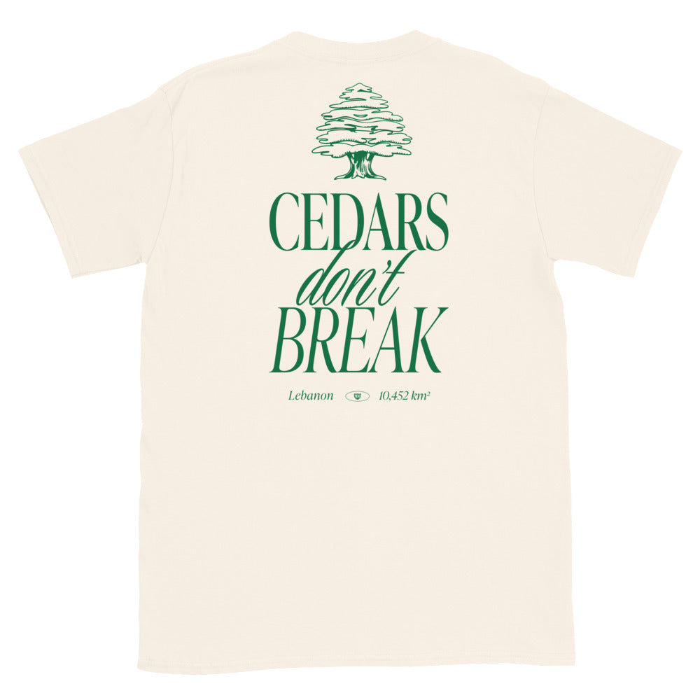 streetwear t-shirt Lebanon, Arab clothing, cedar trees, cedars don't break, support Lebanon, Lebanese clothing 
