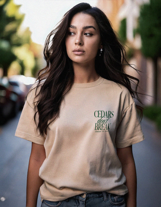 streetwear t-shirt Lebanon, Arab clothing, cedar trees, cedars don't break, support Lebanon, Lebanese clothing 