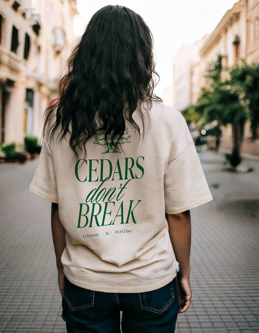 streetwear t-shirt Lebanon, Arab clothing, cedar trees, cedars don't break, support Lebanon, Lebanese clothing 
